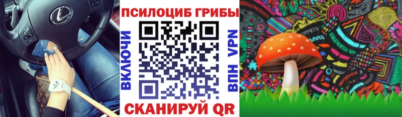 Псилоцибиновые грибы GOLDEN TEACHER  Купить закладки  Нолинск 